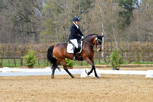 Reitsportzentrum Bremervörde | 170421 Dressurreiter L_241 