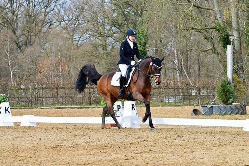 Reitsportzentrum Bremervörde | 170421 Dressurreiter L_245 