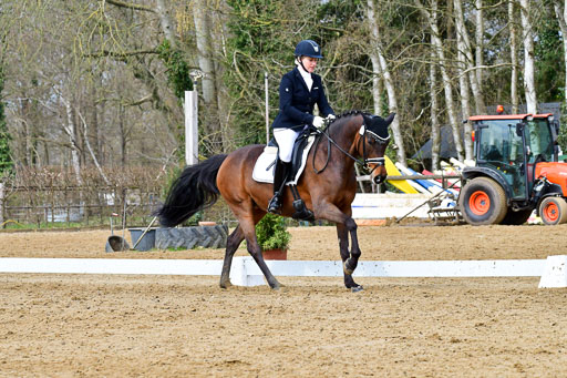 Reitsportzentrum Bremervörde | 170421 Dressurreiter L_247 