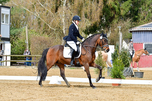 Reitsportzentrum Bremervörde | 170421 Dressurreiter L_249 