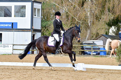 Reitsportzentrum Bremervörde | 170421 Dressurreiter L_255 