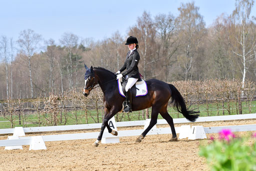 Reitsportzentrum Bremervörde | 170421 Dressurreiter L_256 