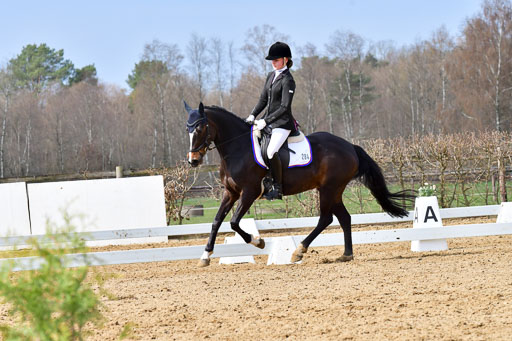 Reitsportzentrum Bremervörde | 170421 Dressurreiter L_257 