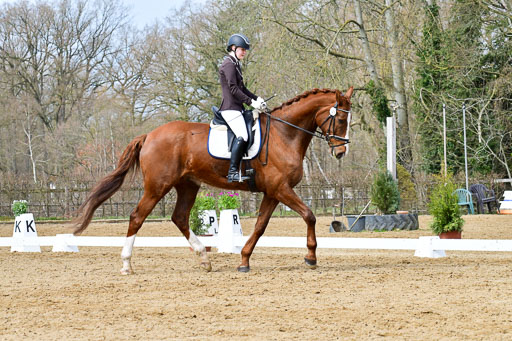 Reitsportzentrum Bremervörde | 170421 Dressurreiter L_260 