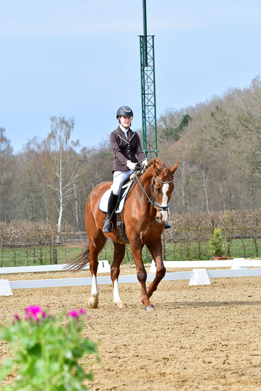 Reitsportzentrum Bremervörde | 170421 Dressurreiter L_261 