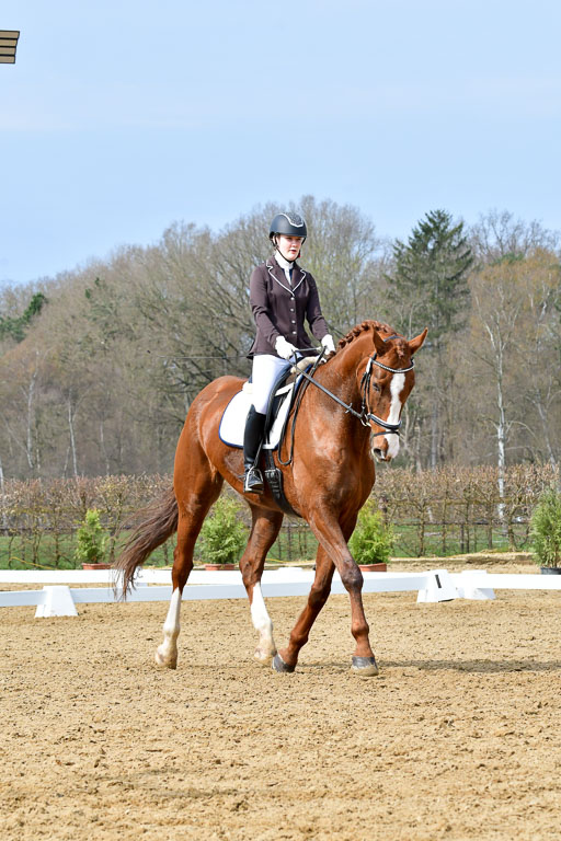 Reitsportzentrum Bremervörde | 170421 Dressurreiter L_262 