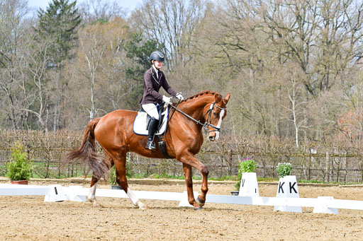Reitsportzentrum Bremervörde | 170421 Dressurreiter L_264 
