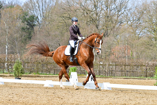 Reitsportzentrum Bremervörde | 170421 Dressurreiter L_265 