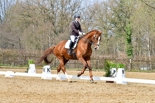 Reitsportzentrum Bremervörde | 170421 Dressurreiter L_266 