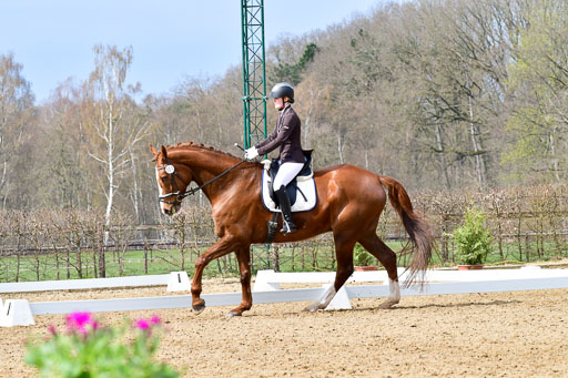 Reitsportzentrum Bremervörde | 170421 Dressurreiter L_268 