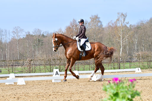 Reitsportzentrum Bremervörde | 170421 Dressurreiter L_269 