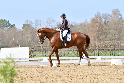 Reitsportzentrum Bremervörde | 170421 Dressurreiter L_270 