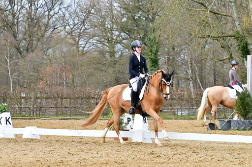 Reitsportzentrum Bremervörde | 170421 Dressurreiter L_275 