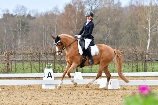 Reitsportzentrum Bremervörde | 170421 Dressurreiter L_279 