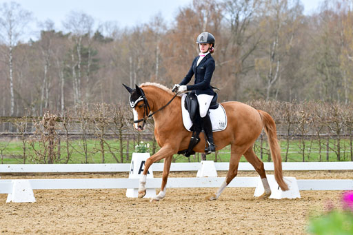 Reitsportzentrum Bremervörde | 170421 Dressurreiter L_280 