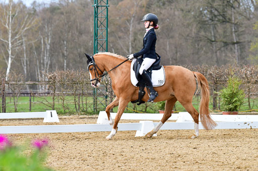 Reitsportzentrum Bremervörde | 170421 Dressurreiter L_281 