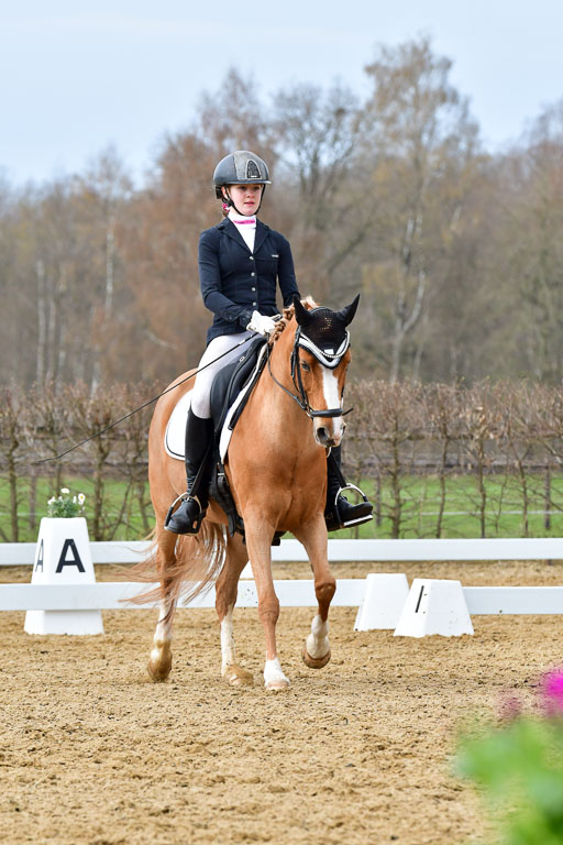 Reitsportzentrum Bremervörde | 170421 Dressurreiter L_282 