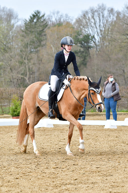 Reitsportzentrum Bremervörde | 170421 Dressurreiter L_284 