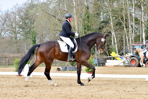 Reitsportzentrum Bremervörde | 170421 Dressurreiter L_285 