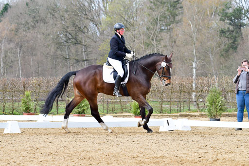 Reitsportzentrum Bremervörde | 170421 Dressurreiter L_290 