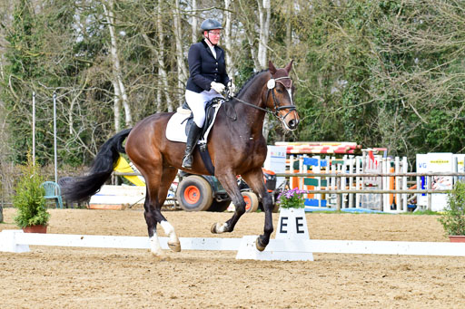 Reitsportzentrum Bremervörde | 170421 Dressurreiter L_294 