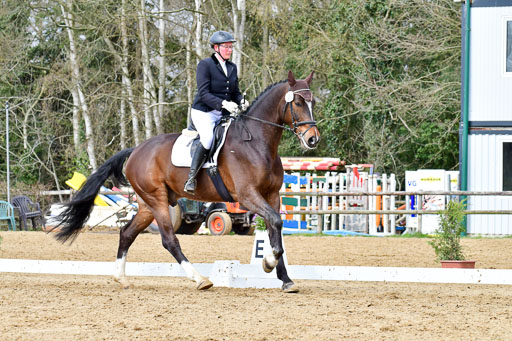 Reitsportzentrum Bremervörde | 170421 Dressurreiter L_295 