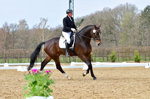 Reitsportzentrum Bremervörde | 170421 Dressurreiter L_296 