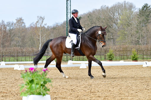 Reitsportzentrum Bremervörde | 170421 Dressurreiter L_297 