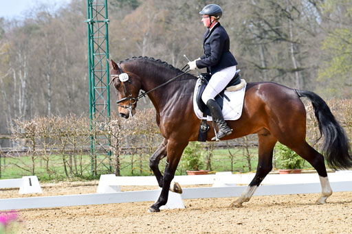 Reitsportzentrum Bremervörde | 170421 Dressurreiter L_298 