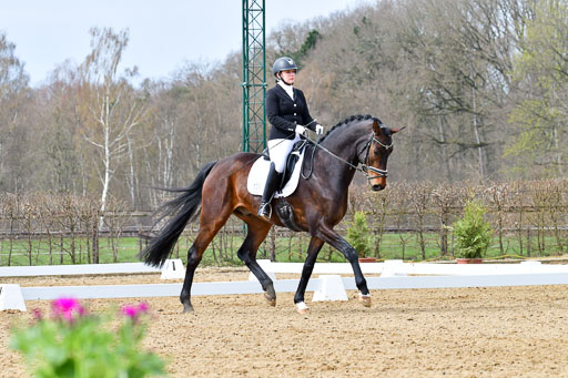 Reitsportzentrum Bremervörde | 170421 Dressurreiter L_299 