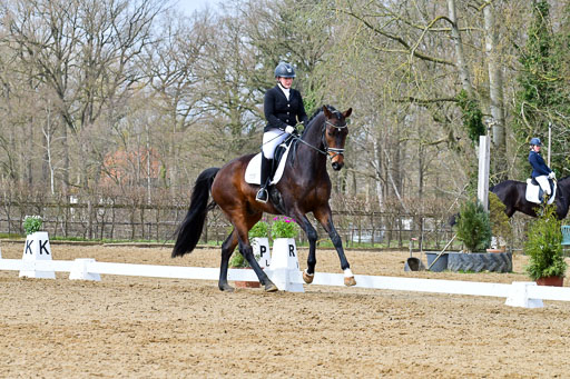 Reitsportzentrum Bremervörde | 170421 Dressurreiter L_310 