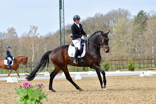Reitsportzentrum Bremervörde | 170421 Dressurreiter L_312 