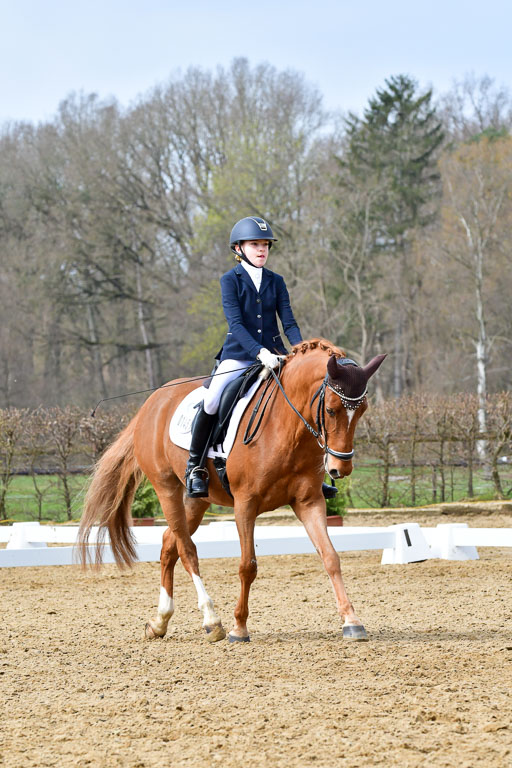Reitsportzentrum Bremervörde | 170421 Dressurreiter L_316 