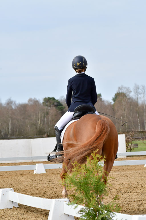 Reitsportzentrum Bremervörde | 170421 Dressurreiter L_318 