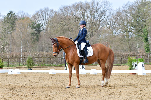 Reitsportzentrum Bremervörde | 170421 Dressurreiter L_320 