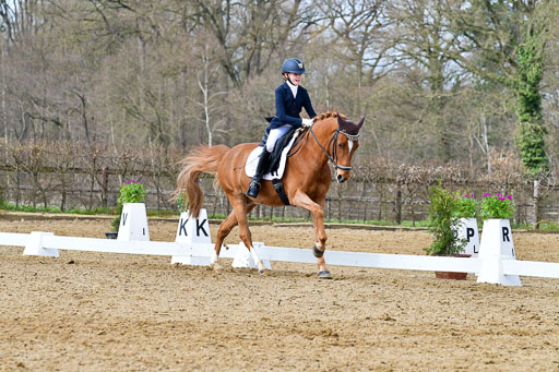 Reitsportzentrum Bremervörde | 170421 Dressurreiter L_322 