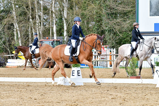 Reitsportzentrum Bremervörde | 170421 Dressurreiter L_324 