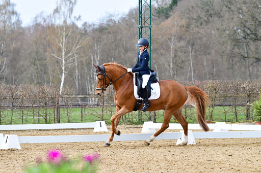Reitsportzentrum Bremervörde | 170421 Dressurreiter L_326 