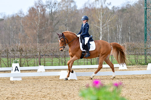 Reitsportzentrum Bremervörde | 170421 Dressurreiter L_327 