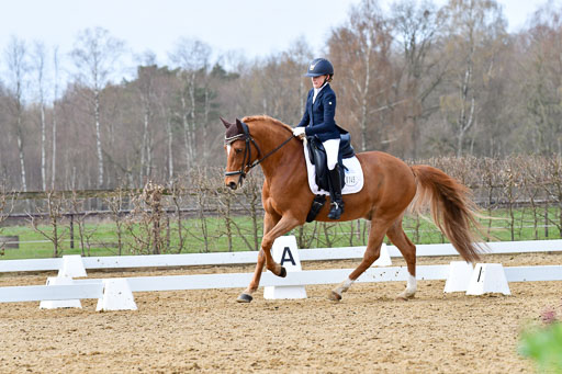 Reitsportzentrum Bremervörde | 170421 Dressurreiter L_328 