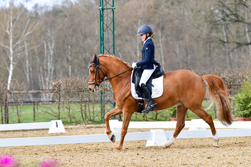 Reitsportzentrum Bremervörde | 170421 Dressurreiter L_329 