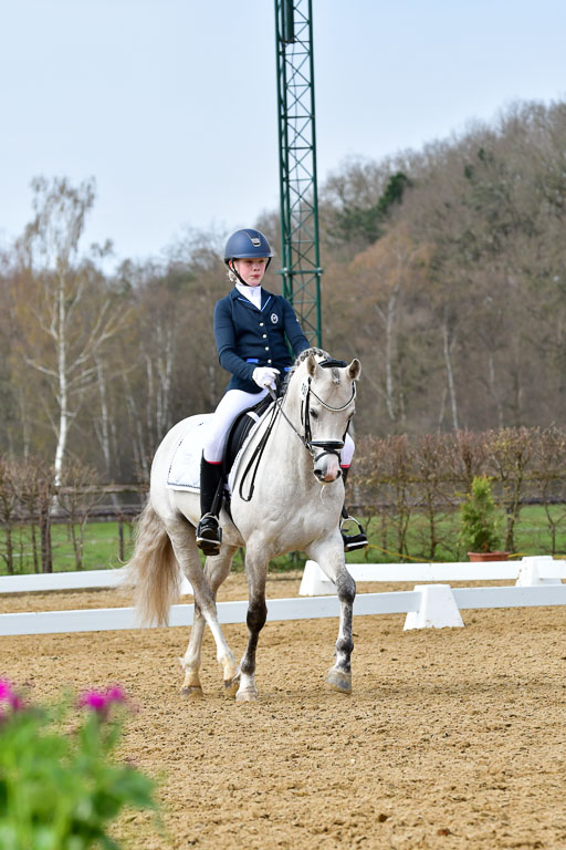 Reitsportzentrum Bremervörde | 170421 Dressurreiter L_331 