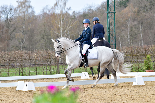 Reitsportzentrum Bremervörde | 170421 Dressurreiter L_342 