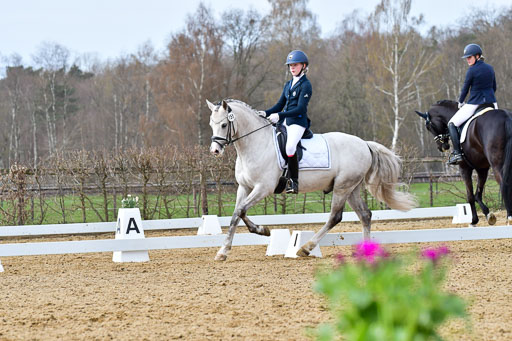 Reitsportzentrum Bremervörde | 170421 Dressurreiter L_343 