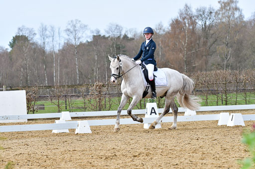 Reitsportzentrum Bremervörde | 170421 Dressurreiter L_344 