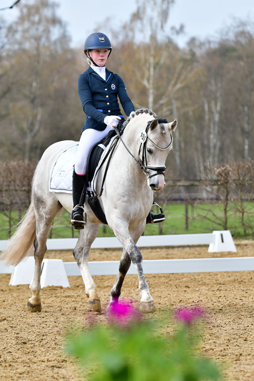 Reitsportzentrum Bremervörde | 170421 Dressurreiter L_345 