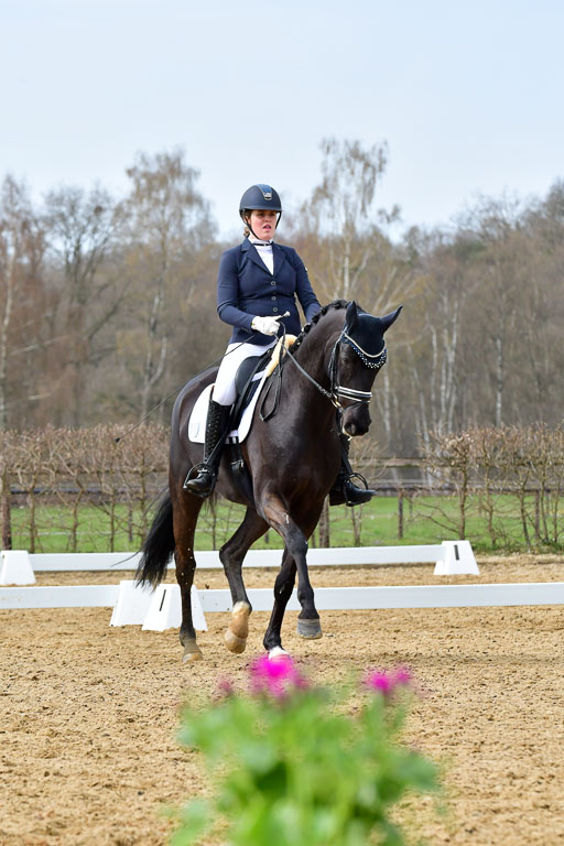 Reitsportzentrum Bremervörde | 170421 Dressurreiter L_351 