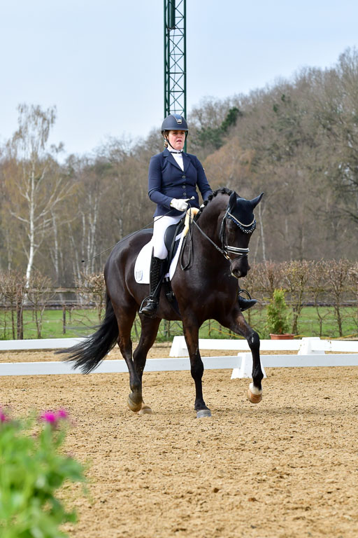 Reitsportzentrum Bremervörde | 170421 Dressurreiter L_352 