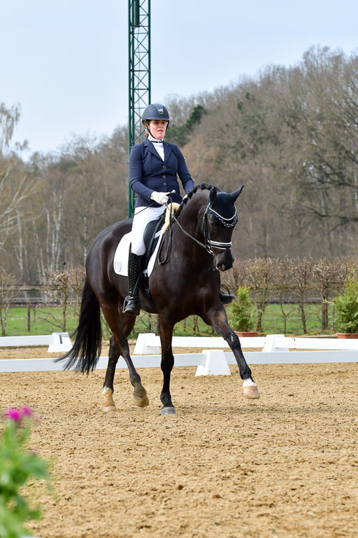 Reitsportzentrum Bremervörde | 170421 Dressurreiter L_353 
