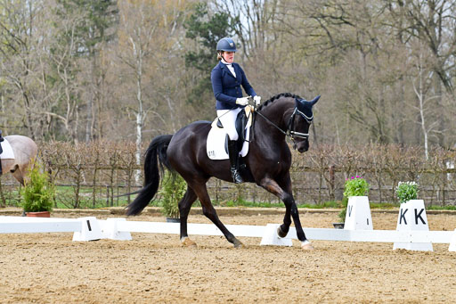 Reitsportzentrum Bremervörde | 170421 Dressurreiter L_356 